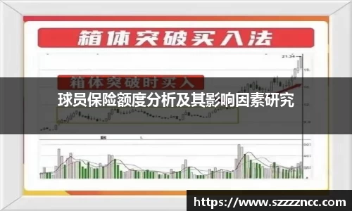 球员保险额度分析及其影响因素研究